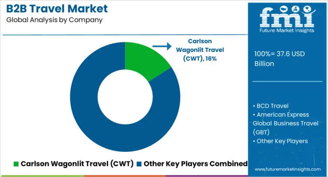 B2b Travel Market Analysis By Company