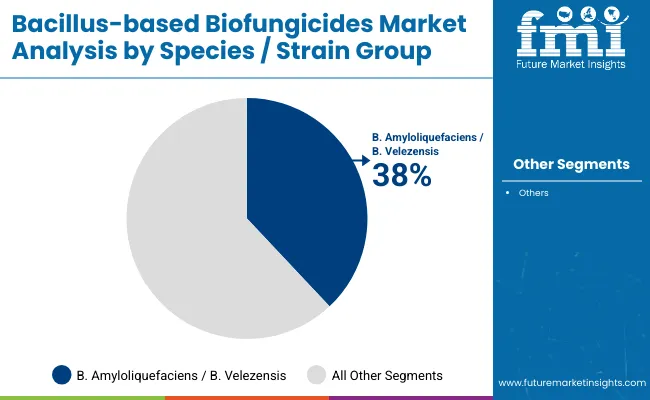 Bacillus Based Biofungicides Market By Species Or Strain Group