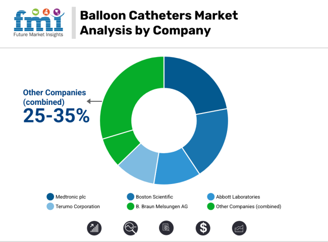 Balloon Catheters Market Analysis By Company