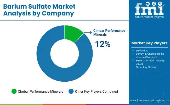 Barium Sulphate Market By Company