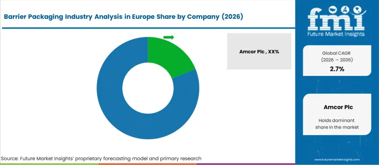 Barrier Packaging Industry Analysis In Europe Analysis By Company