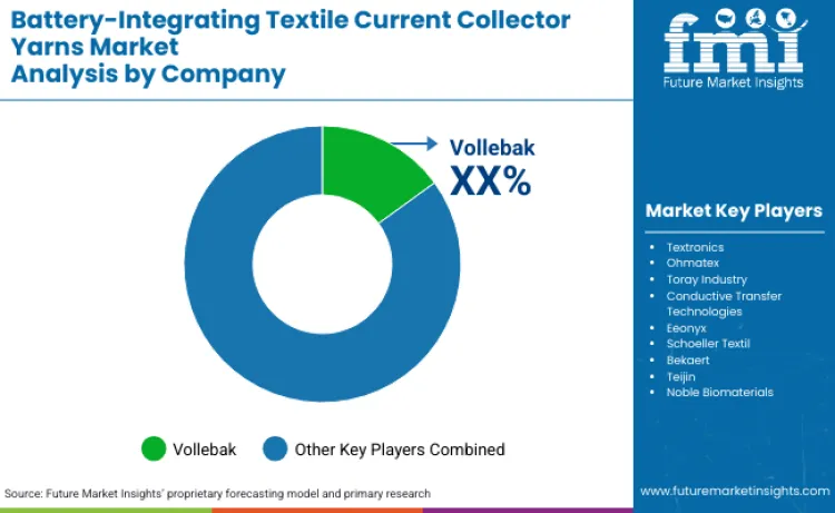 Battery Integrating Textile Current Collector Yarns Market By Company