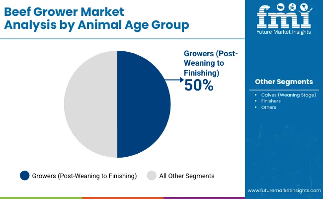 Beef Grower Market By Animal Age Group Beef Grower Market By Animal Age Group