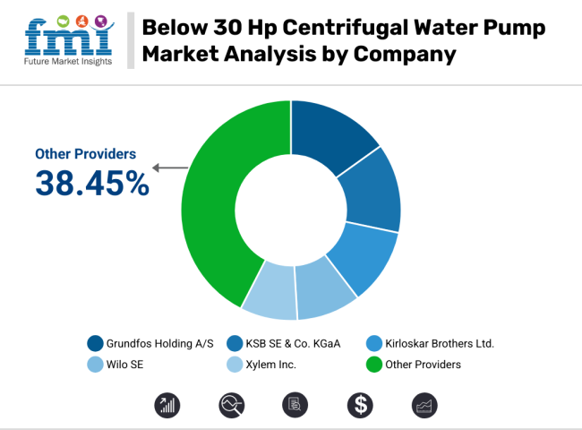 Below 30 Hp Centrifugal Water Pump Market Analysis By Company