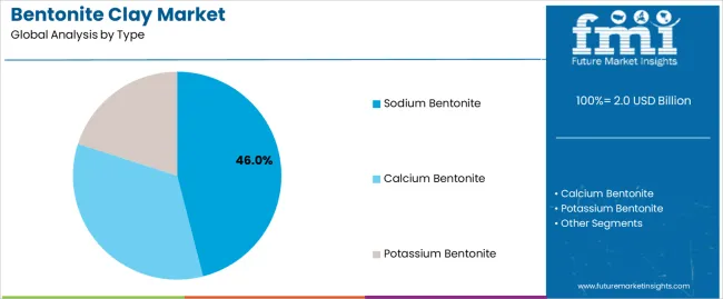 Bentonite Clay Market Analysis By Type