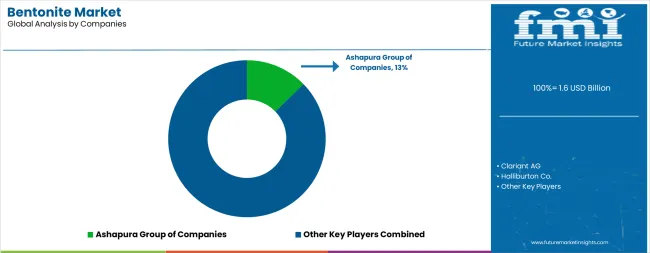 Bentonite Market Analysis By Company
