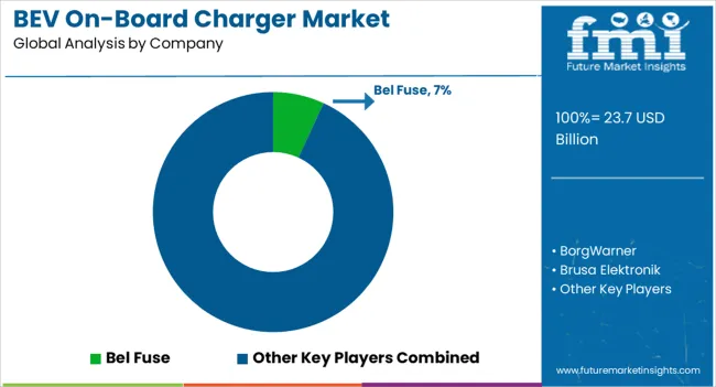 Bev On Board Charger Market Analysis By Company