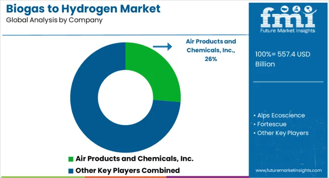 Biogas To Hydrogen Market Analysis By Company