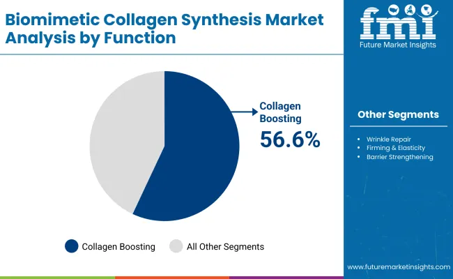 Biomimetic Collagen Synthesis Market By Function