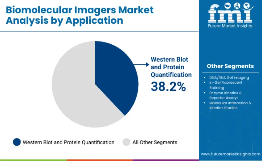 Biomolecular Imagers Market By Application Biomolecular Imagers Market By Application