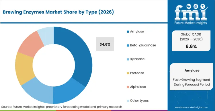 Brewing Enzymes Market Analysis By Type