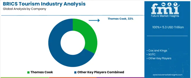 Brics Tourism Industry Analysis Analysis By Company