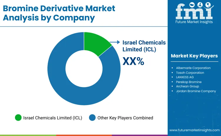 Bromine Derivatives Market By Company