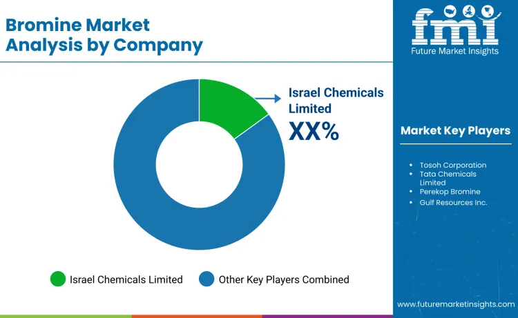 Bromine Market By Company