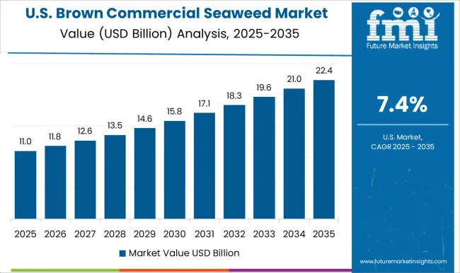 Brown Commercial Seaweed Market Country Value Analysis