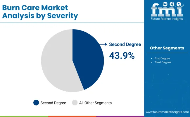 Burn Care Market By Severity