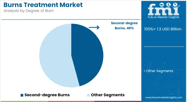 Burns Treatment Market Analysis By Degree Of Burn