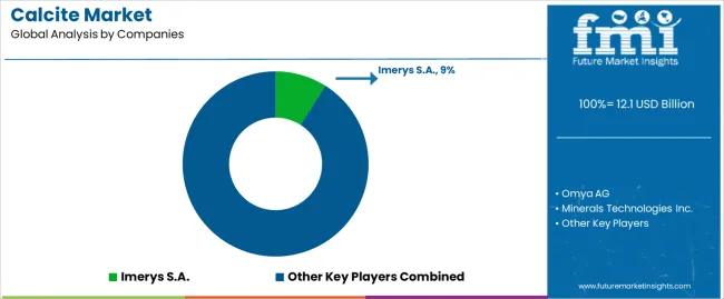 Calcite Market Analysis By Company Calcite Market Analysis By Company