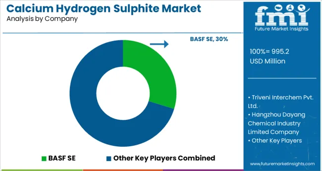 Calcium Hydrogen Sulphite Market Analysis By Company