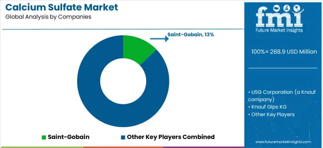Calcium Sulfate Market Analysis By Company Calcium Sulfate Market Analysis By Company