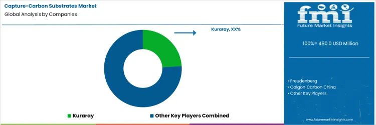 Capture Carbon Substrates Market Analysis By Company