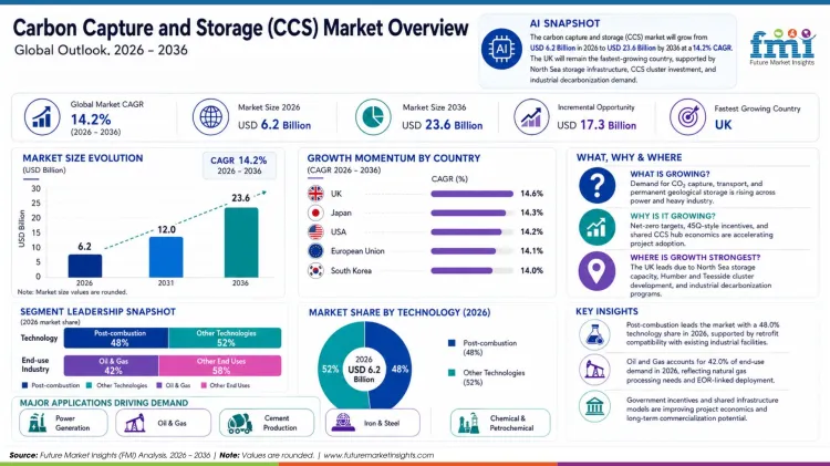 Carbon Capture And Storage (ccs) Market