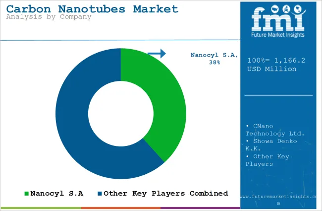 Carbon Nanotubes Market Analysis By Company