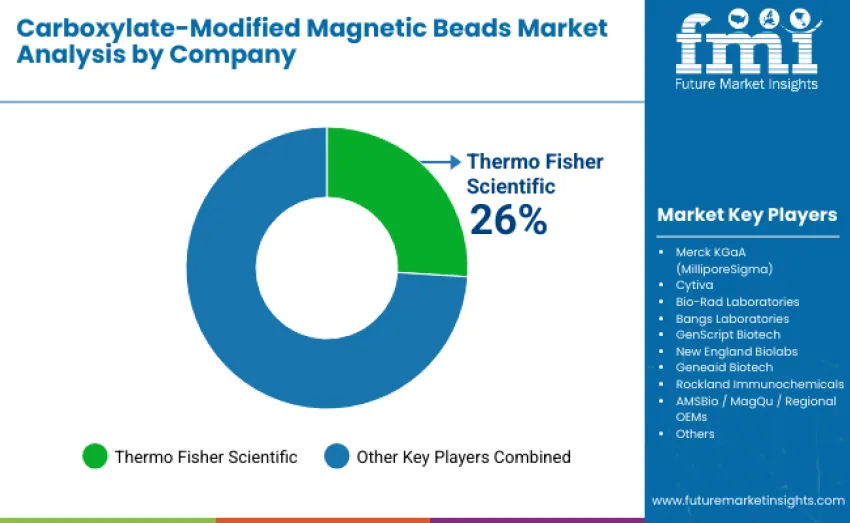 Carboxylate Modified Magnetic Beads Market By Company Carboxylate Modified Magnetic Beads Market By Company