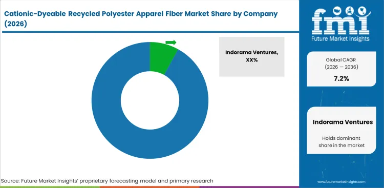Cationic Dyeable Recycled Polyester Apparel Fiber Market Analysis By Company