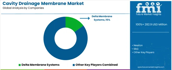 Cavity Drainage Membrane Market Analysis By Company Cavity Drainage Membrane Market Analysis By Company