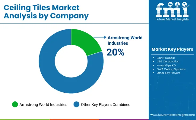 Ceiling Tiles Market By Company Ceiling Tiles Market By Company