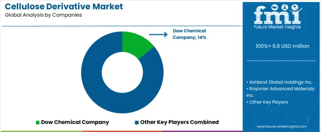 Cellulose Derivative Market Analysis By Company
