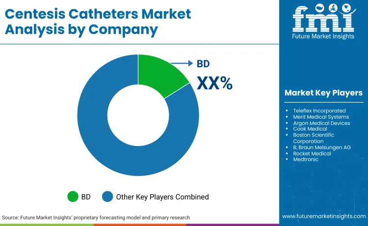 Centesis Catheters Market By Company