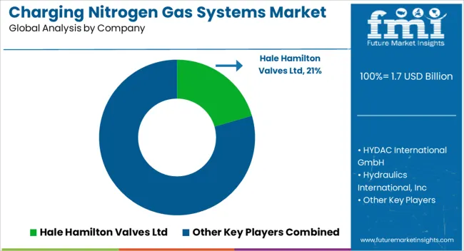 Charging Nitrogen Gas Systems Market Analysis By Company