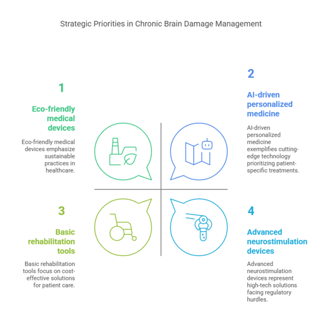 Chronic Brain Damage Management Market Strategic Priorities