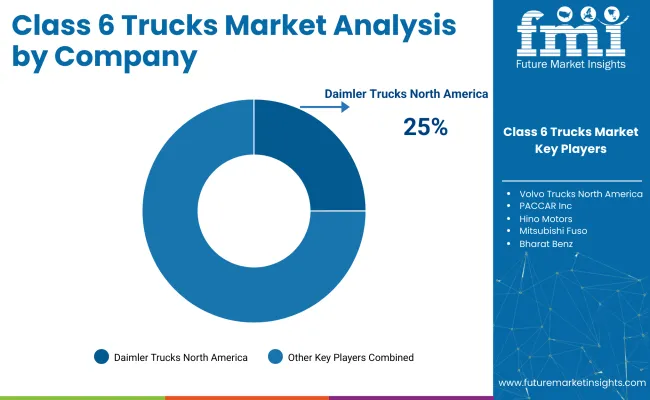 Class 6 Trucks Market Analysis By Company