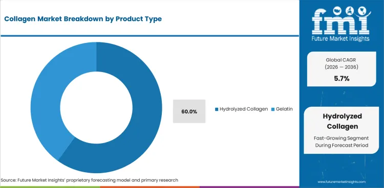 Collagen Market Analysis By Product Type