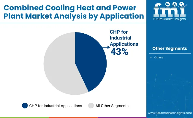 Combined Cooling Heat And Power Plant Market Analysis By Application