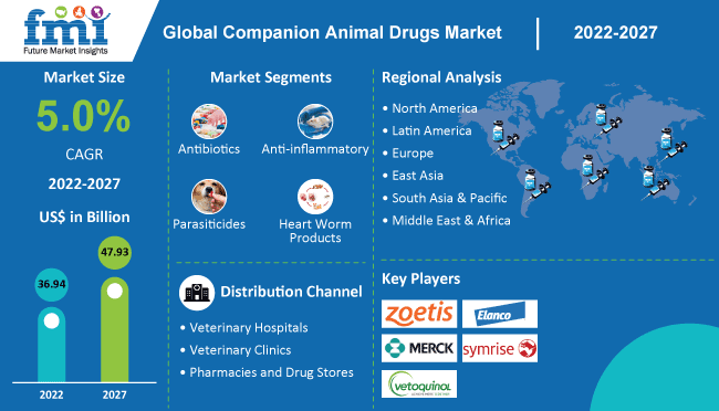 Companion Animal Drugs Market