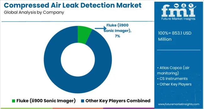 Compressed Air Leak Detection Market Analysis By Company