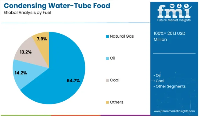 Condensing Water Tube Food Processing Boiler Market Analysis By Fuel
