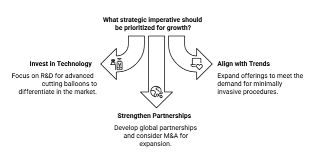 Cutting Balloons Market Strategic Imperatives For Stakeholders