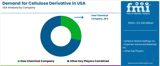 Demand For Cellulose Derivative In Usa Analysis By Company