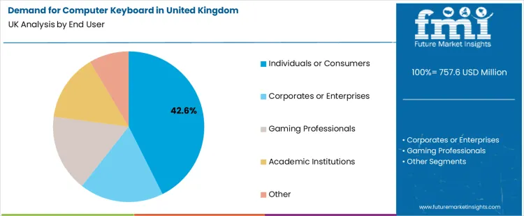 Demand For Computer Keyboard In United Kingdom Analysis By End User