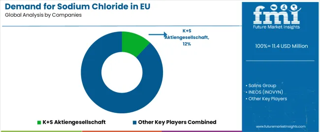 Demand For Sodium Chloride In Eu Analysis By Company