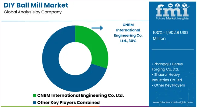 Diy Ball Mill Market Analysis By Company