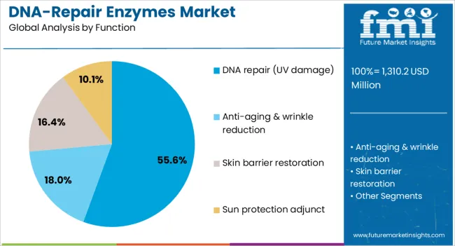Dna Repair Enzymes Market Analysis By Function