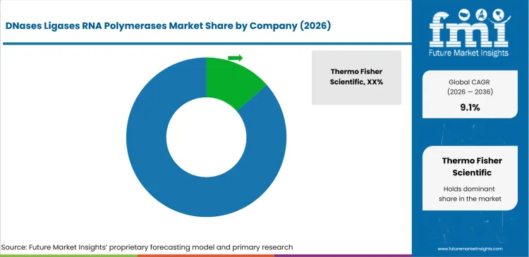 Dnases Ligases Rna Polymerases Market Analysis By Company Dnases Ligases Rna Polymerases Market Analysis By Company