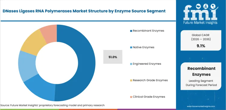 Dnases Ligases Rna Polymerases Market Analysis By Enzyme Source