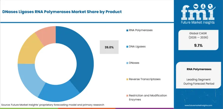 Dnases Ligases Rna Polymerases Market Analysis By Product Dnases Ligases Rna Polymerases Market Analysis By Product